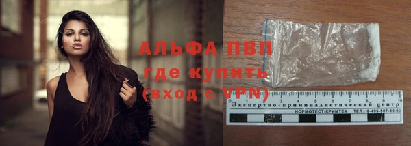 PSILOCYBIN Балабаново