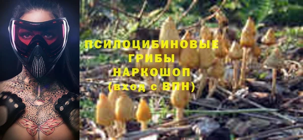 гашик Балахна